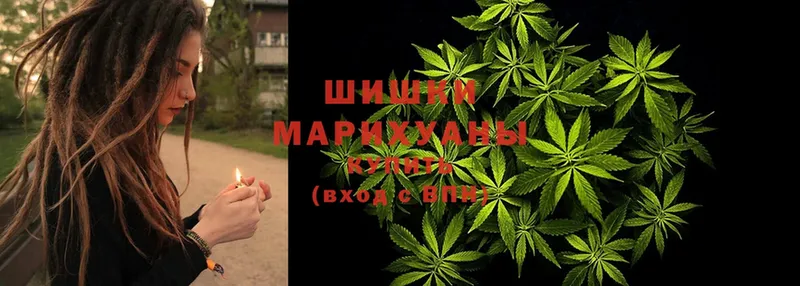 наркота  Боровск  Каннабис Amnesia 